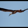 20120311_292
